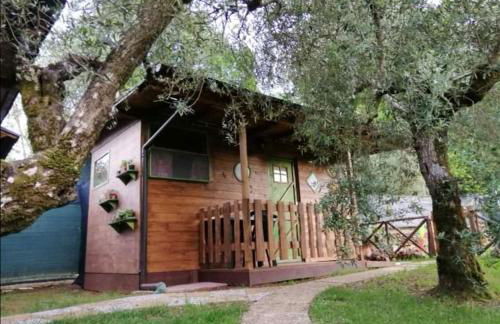 Case vacanza Centro estivo Il Catauso - Foto 33