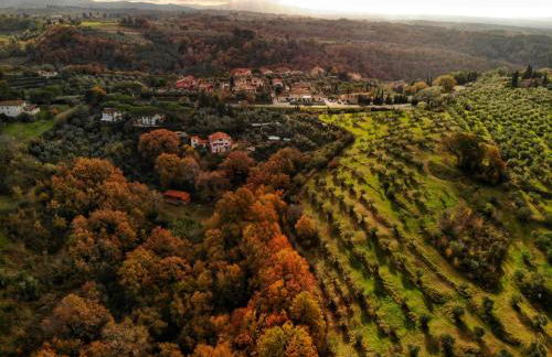 Agriturismo Podere Santa Rita - Foto 14