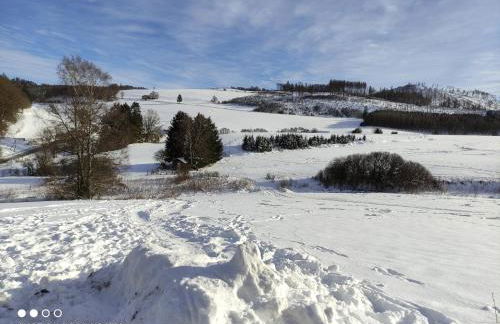 Lavender Hill - Foto 24