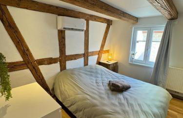 Maison Alsacienne Centre Alsace - Foto 23