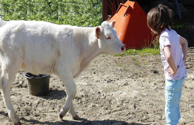 Manor Near Mont St. Michel and Contentin Beaches - Foto 19