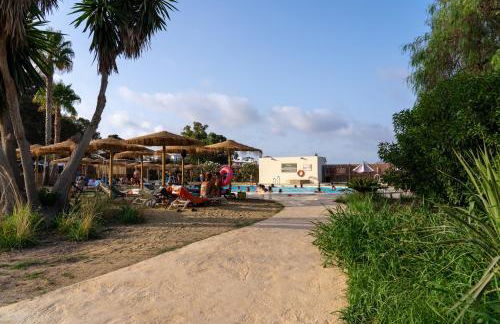 Taiga Almeria Playa - Photo 30