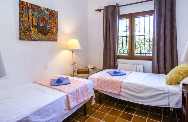 Mirlo Canta - Foto 21