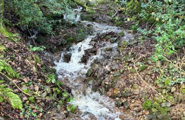 Peep-O-Day-The Stylish Dale View - Foto 32