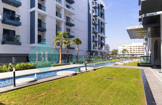 Bloomfields Olivz Cozy STU International - Foto 7