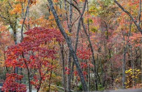 Chardonnay Chalet - Luxe Modern Chalet - Hot Tub, Wi-Fi, Fire Pit, Game Room, Amazing Deck - 15 min to Blue Ridge - Foto 75