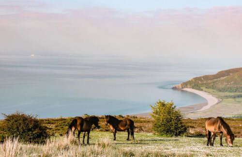 Spring Cottage - Foto 28