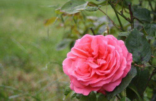 Komfort Ferienhaus FEWO70 - Foto 58