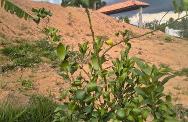 Rancho do andi - Foto 11