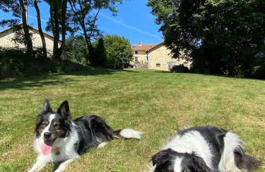 La Porcherie - Foto 17