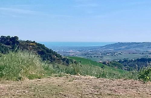 Minicasa nella fattoria - Foto 18