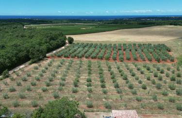 Villa Absolute privacy - Photo 30