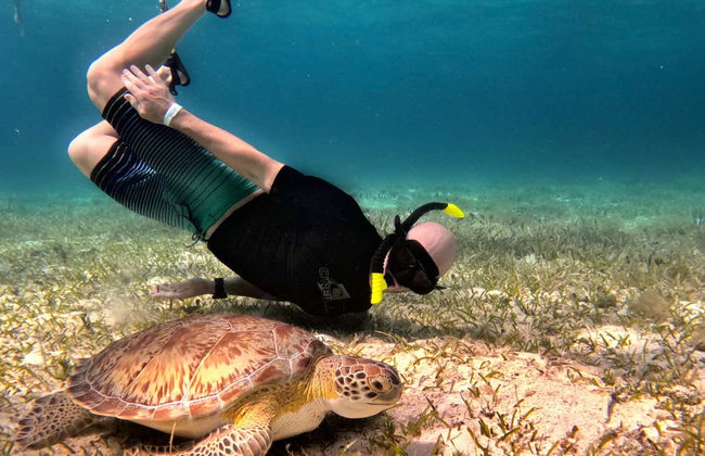 Snorkelling in a Turtle Sanctuary - Photo 12