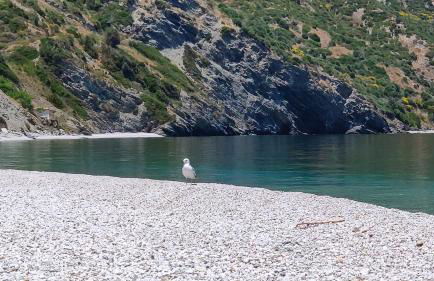 Villa with Aegean views - Foto 43