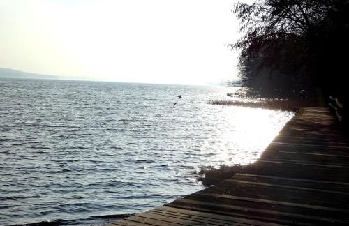 Neubrandenburg-Wasser,Natur,Zentrum,Ladestation für E-Autos - Foto 51
