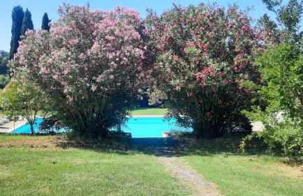 Podere Il Cerrone app Romilda con piscina - Foto 55