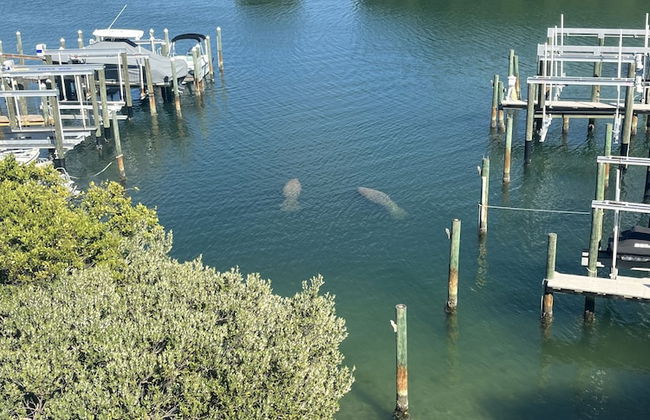 Tortuga Shoals - Foto 59