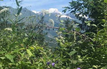 Montchavin vue Mont-Blanc 4 pers - Foto 6