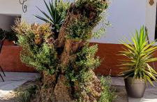 Cuevas Uropia - Foto 38