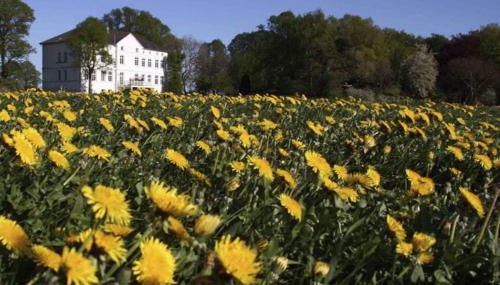 Herrenhaus Blengow App.15 - Foto 4