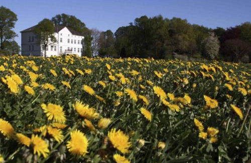 Herrenhaus Blengow App.17 - Foto 8