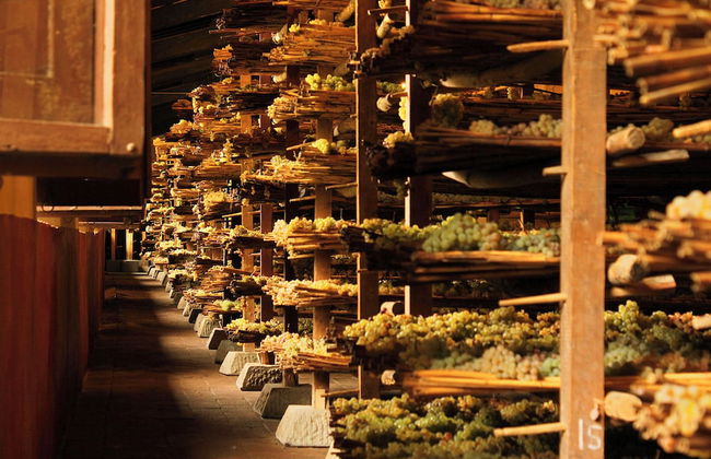 Agriturismo La Fattoria di Capezzana - Foto 38