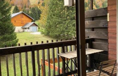 Superbe studio de montagne, au pied des pistes de ski, classé 3 étoiles - Foto 7