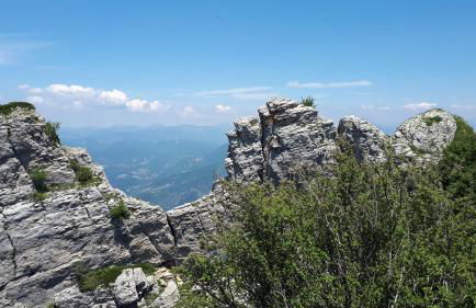 LA GARDE ADHEMAR, L'escalier Médiéval - Foto 71