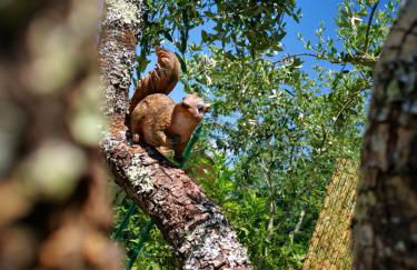 La Casa Sul Lago - Foto 22