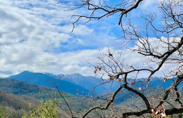 Chalet Perivoli - Foto 35