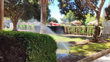 Benalmádena Costa-Iris playa-Arroyo de la Miel - Foto 3, Garden view