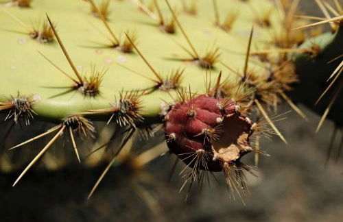 Casa Layka, con maravillosas vistas al mar - Foto 28