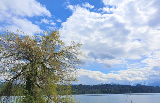 Apartment by Worthersee With Pool - Photo 33