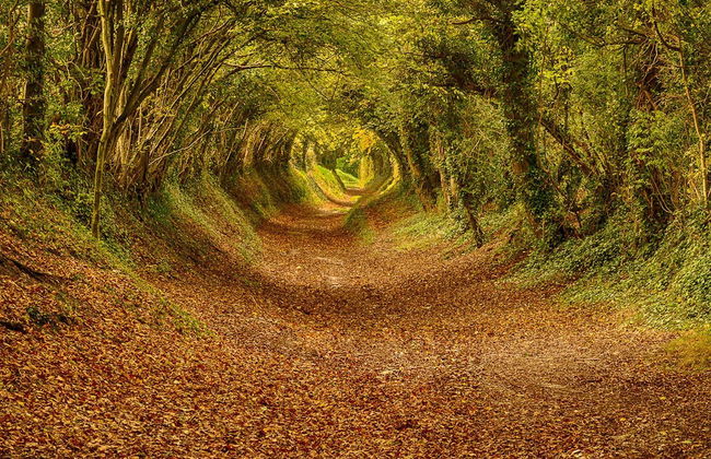 Gorgeous Home for 12 - Walk to Beach - Sea View - Photo 58