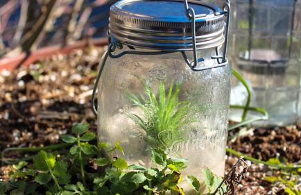 Backhaus Wald - Foto 26