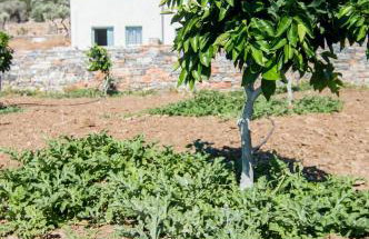 Ligaridia Apartments - Foto 1