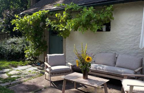 Ferienhaus Erbse - Foto 17