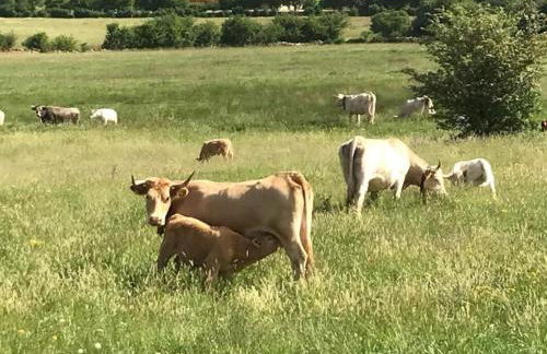 Apartamento en Alcala de la Selva by Family Homes - Foto 41