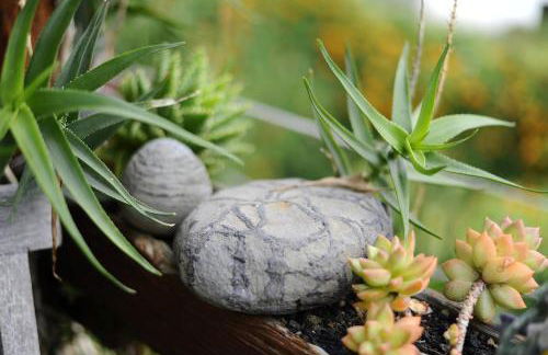 Casa Papaya 1, La Palma - Foto 21