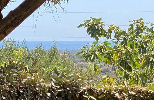 Villetta il Mirto - Foto 18