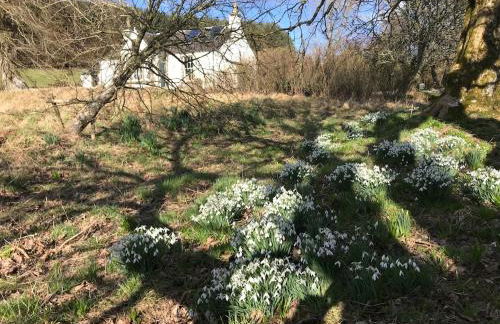 Gorgeous boutique off-grid cottage near Peebles - Foto 17