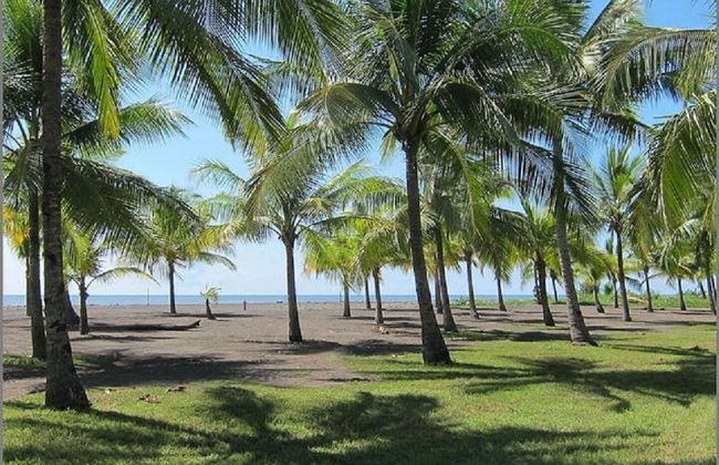 2 Comfortable New Villas Near Pacific, Private Pool With Waterfall! - Photo 29