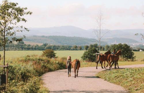 Birkenhof - Ferienhof, Landcafe und Rösterei - Photo 9