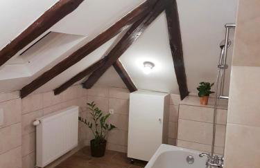 Mickey Mouse Supilova 24 - Foto 31