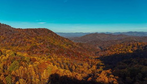 South Fork cabin at Cabin Fever in NC - Foto 4