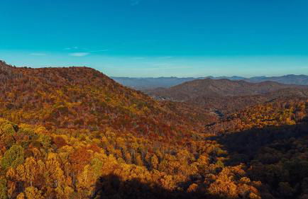 Bird's Nest cabin at Cabin Fever in NC - Foto 22