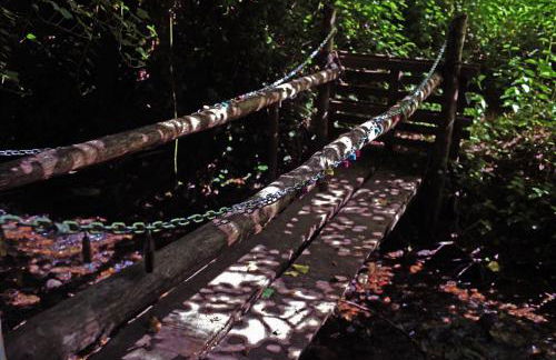 CHALET NEL BOSCO - TENUTA BOCCHINERI - Photo 34