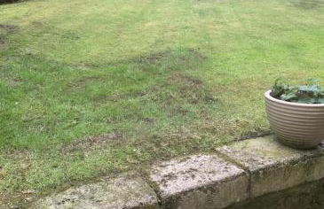 airport appartment - Foto 25