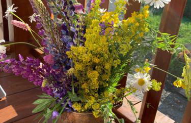 Grande Maison Du Coeur Champoluc Spa,Gym e Aree Relax - Foto 46