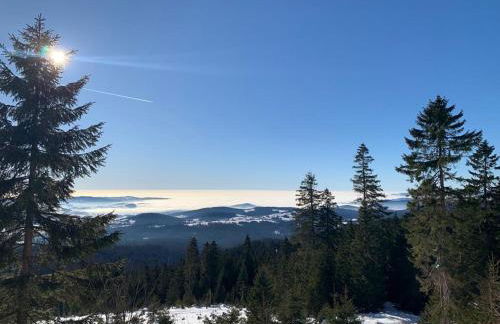 Große Ferienwohnung Hundertwasser am Dreisessel in Altreichenau - Foto 38